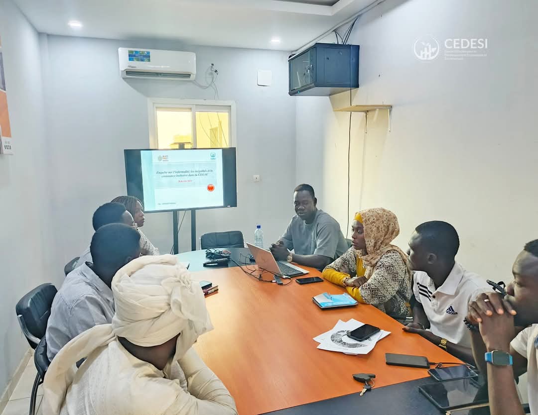 Collecte de Données sur l&rsquo;Informalité et les Inégalités à N&rsquo;Djaména : Analyse et Implications pour le Développement Durable en Afrique Centrale